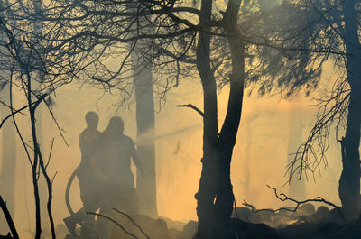 Firefighter putting out a forest fire