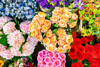 Close-up of flowers