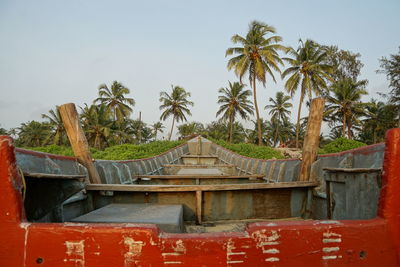 View of palm trees