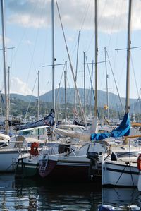 Sailboats moored in harbor