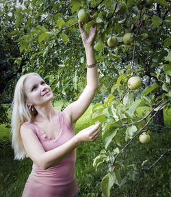 Woman picking apple while standing on field at park