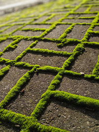 Full frame shot of cobblestone street