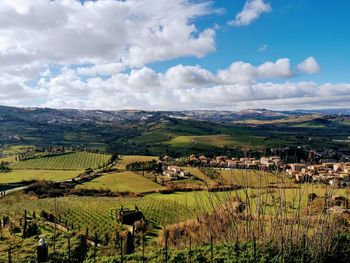 Scenic view of agricultural field against sky