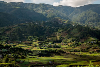 High angle view of agricultural landscape