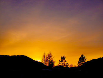 Silhouette trees against orange sky