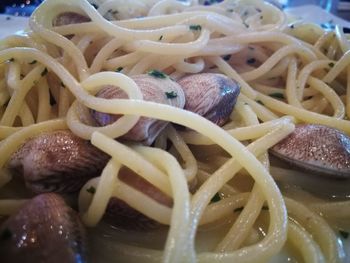 Close-up of mushrooms in plate