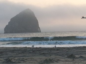 Scenic view of beach against sky