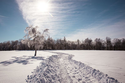 Scenic view of snow covered trees against sky