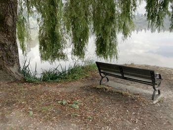 Empty bench in park