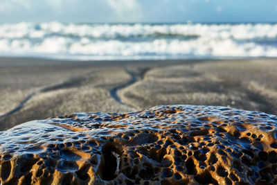 Surface level of sand on beach against the sky