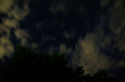 Low angle view of trees against sky at night
