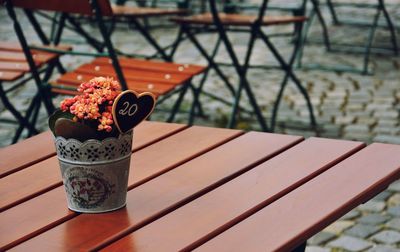 Close-up of potted plant on table