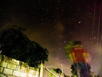 Low angle view of trees against sky at night