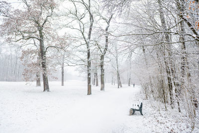 Bare trees on snow covered landscape