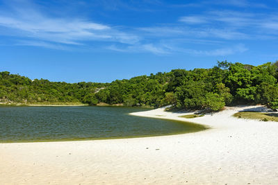 Abaete lagoon in salvador, bahia with dark waters and surrounded by white sand dunes and vegetation