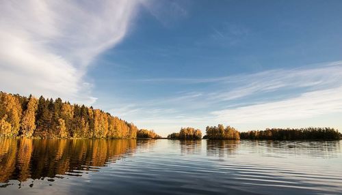 Scenic view of lake in forest against sky