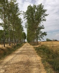 Empty road along trees on field