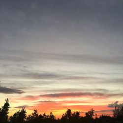 Silhouette of trees against dramatic sky