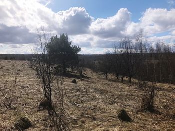 Scenic view of landscape against sky