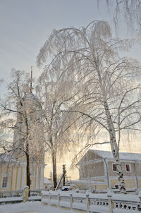 Bare trees by buildings against sky during winter