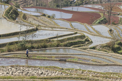 High angle view of man walking in farm