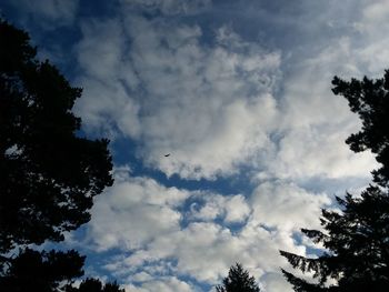 Low angle view of silhouette trees against sky