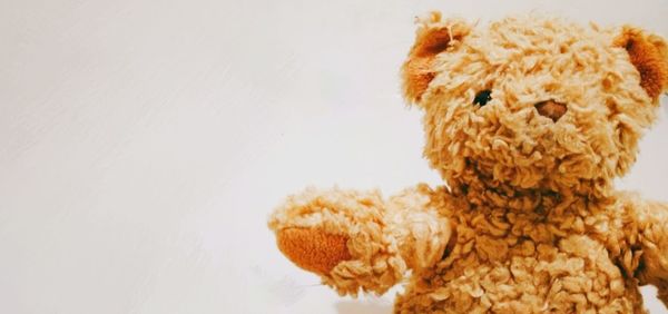Close-up of stuffed toy against white background