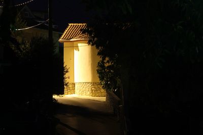 Illuminated building by tree at night