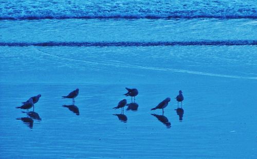 Calm blue sea