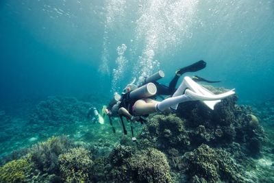 People swimming undersea