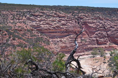 Rock formations on landscape