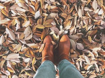 Low section of person standing on dry leaves