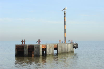 Bird perching on wooden post in sea against sky