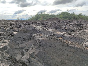 soil
