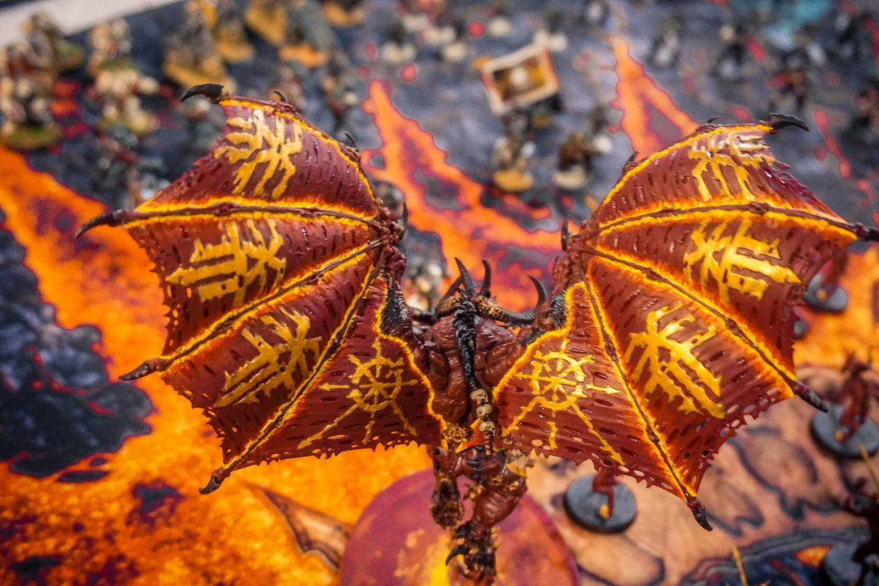 HIGH ANGLE VIEW OF AUTUMNAL LEAVES DURING AUTUMN