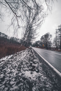 Road amidst bare trees during winter