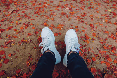 Low section of person standing on autumn leaves