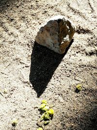 Close-up of shadow on sand