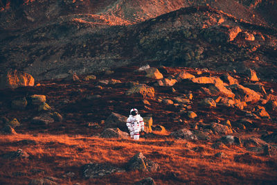 Rear view of man sitting on rock