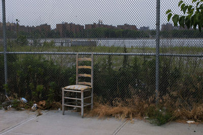 Cat on tree against sky