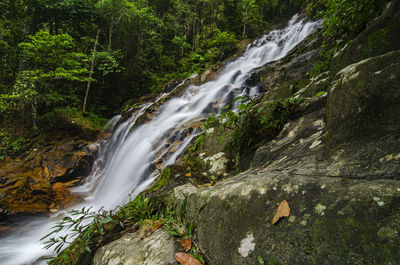 Scenic view of waterfall in forest