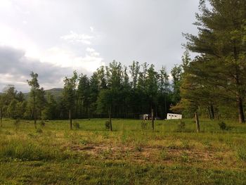 Trees on field against sky