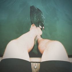 High angle view of legs on water with duck