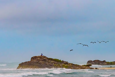 Birds flying over sea against sky