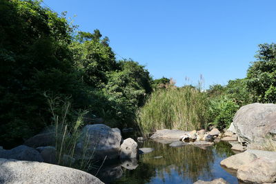 Scenic view of lake against clear blue sky