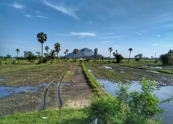 Scenic view of field against sky