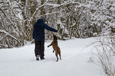 Dog standing on snow covered land