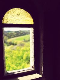 Close-up of window