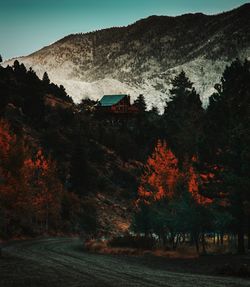 Scenic view of trees by building during autumn