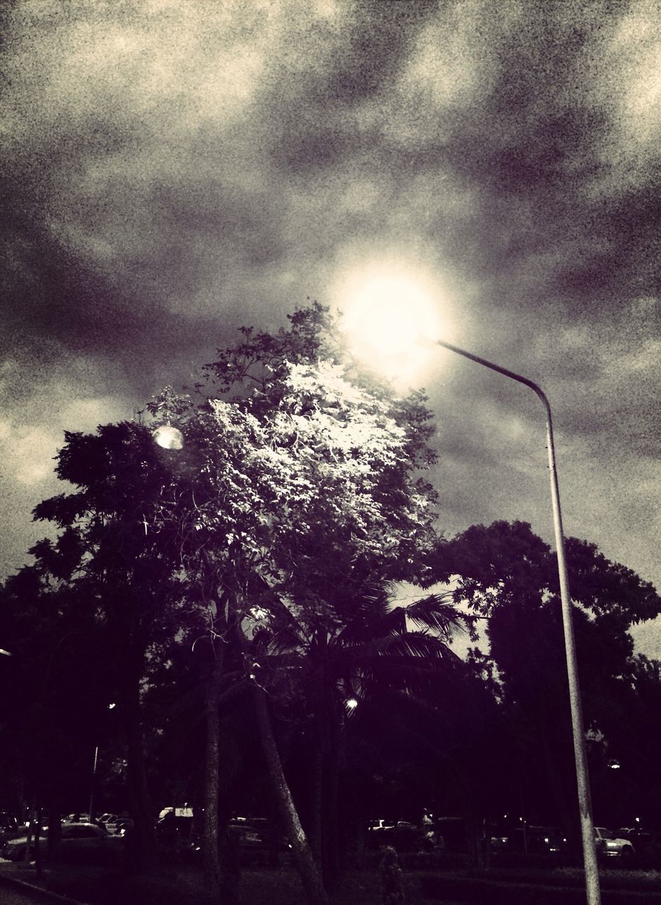 sky, street light, low angle view, tree, cloud - sky, car, cloudy, transportation, silhouette, lighting equipment, land vehicle, sun, nature, sunlight, street, sunbeam, growth, outdoors, cloud, road